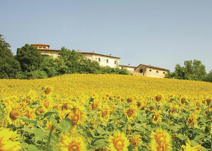 Di Collina Casa de Férias Vicchio